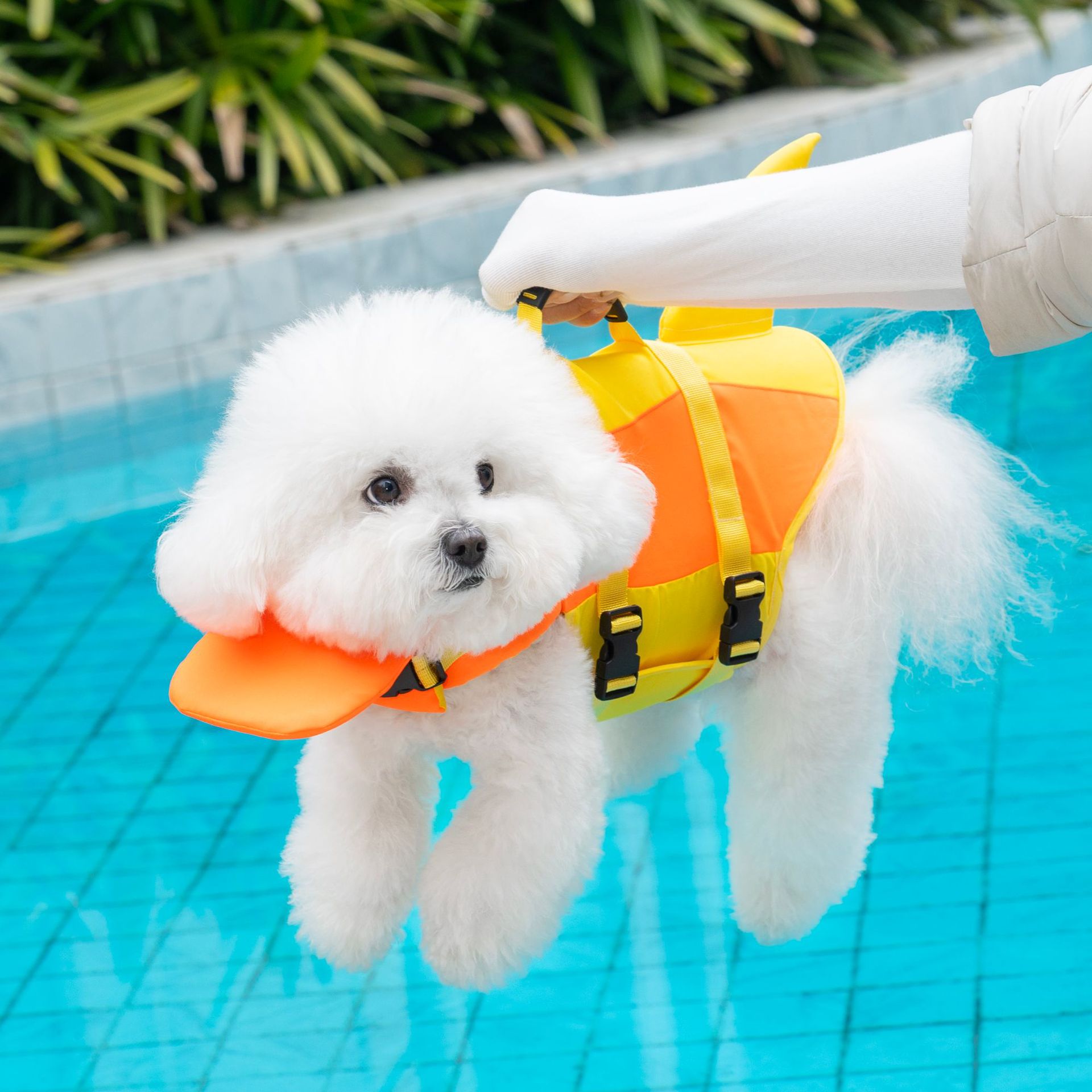 Dog Life Jacket Vest Buoyancy Handle - Chaleco Salvavidas para Perros con Diseño