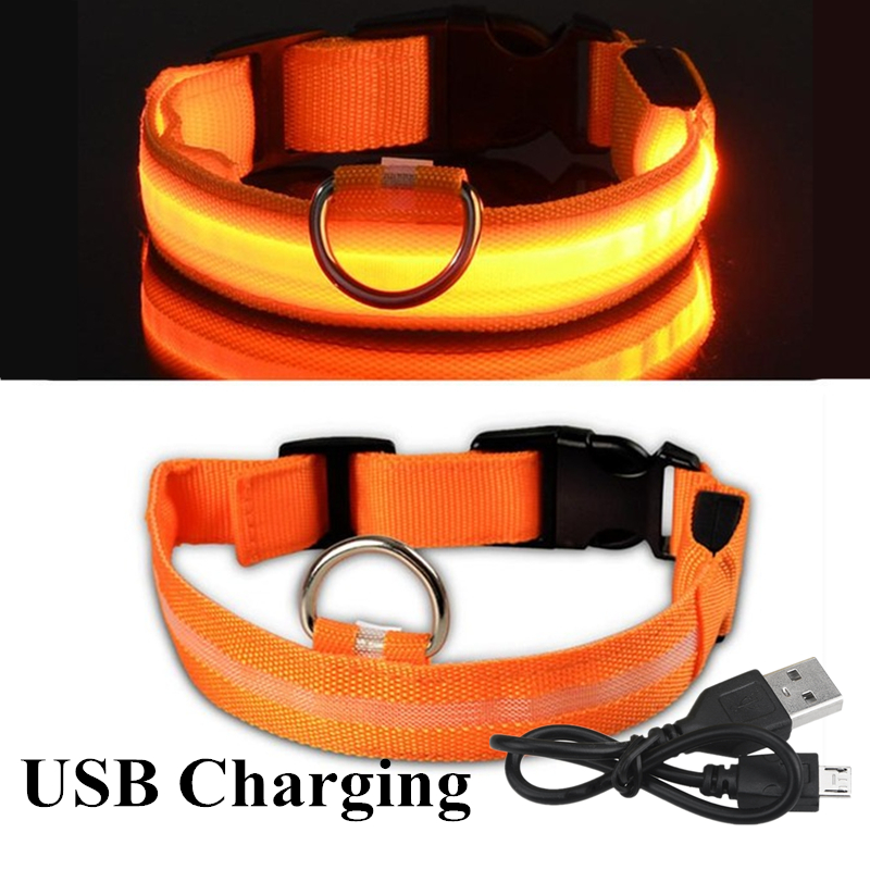 Led Dog Collar Glowing Rechargeable Usb - Collar LED brillante recargable por USB