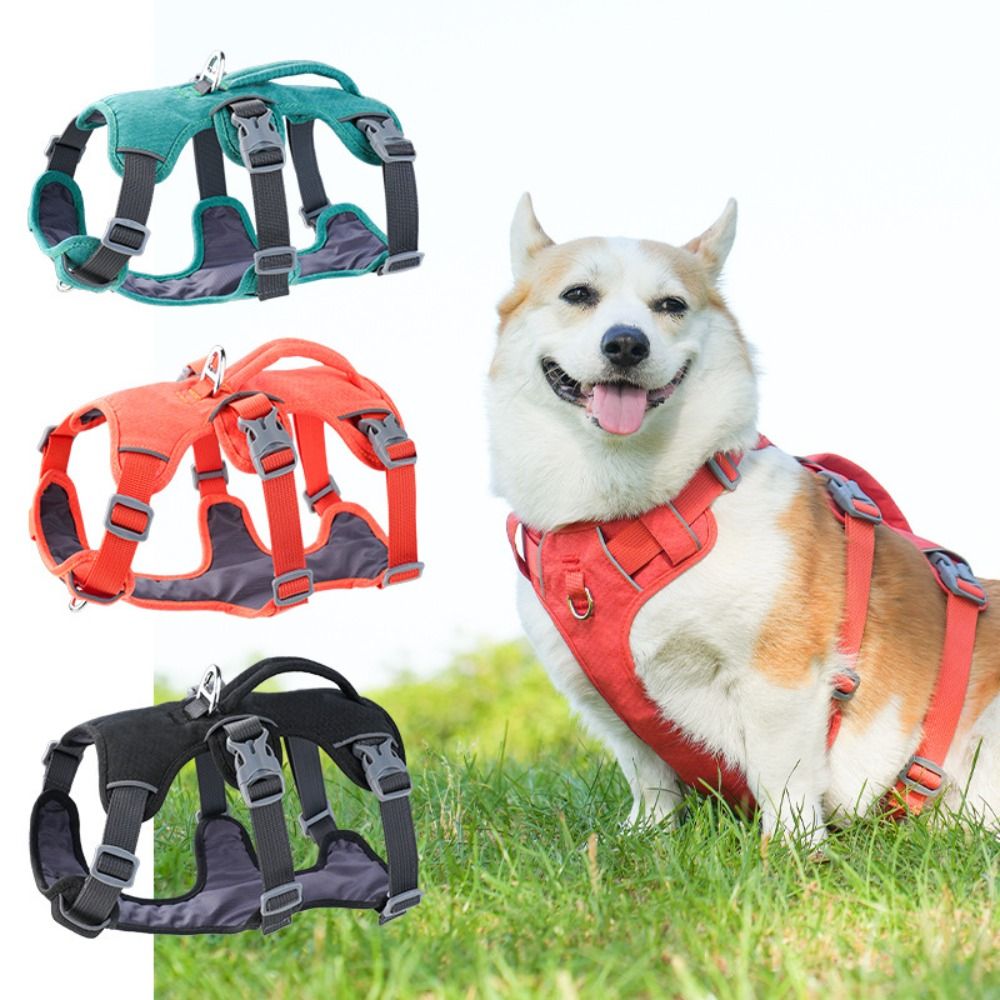 Bungee Dog Leash Shock Absorbing - Arnés Reflectante para Perro con Asa,