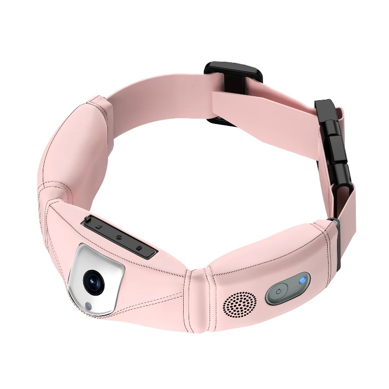 Dog Gps Tracker Collar 4G Waterproof - Collar con Rastreador GPS 4G para