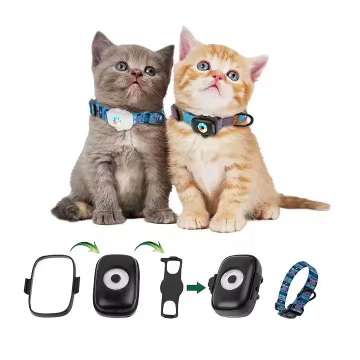 Dog Gps Tracker Collar 4G Waterproof - Rastreador GPS 4G Portátil con Luz