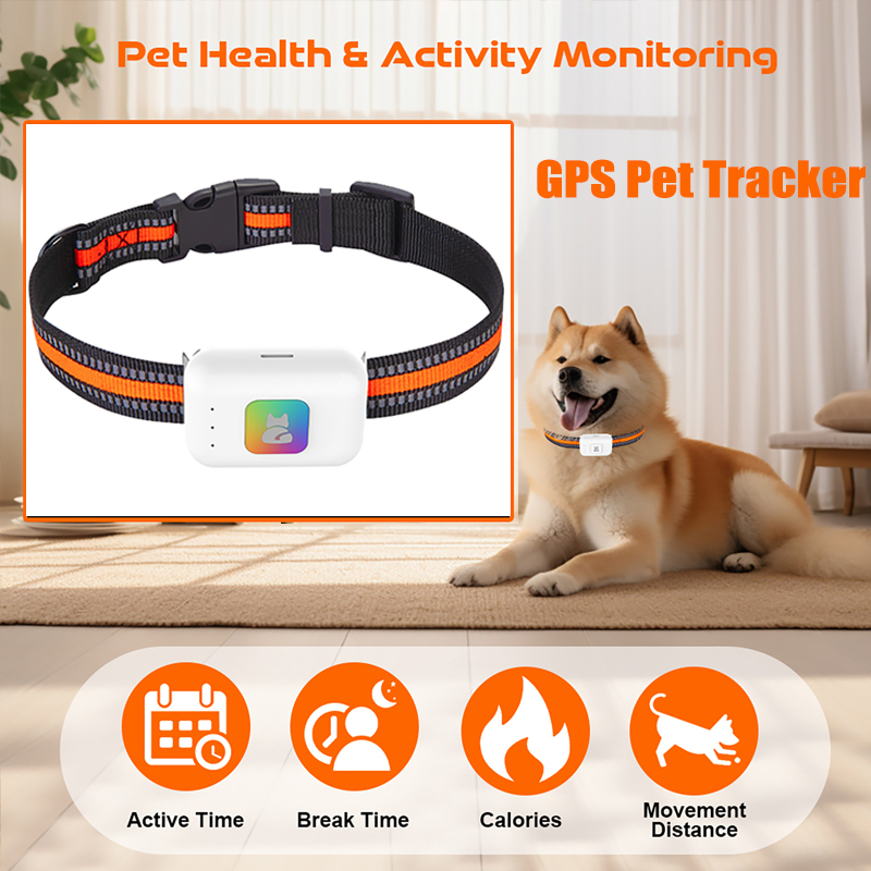 Dog Gps Tracker Collar 4G Waterproof - Rastreador GPS portátil con Flash LED