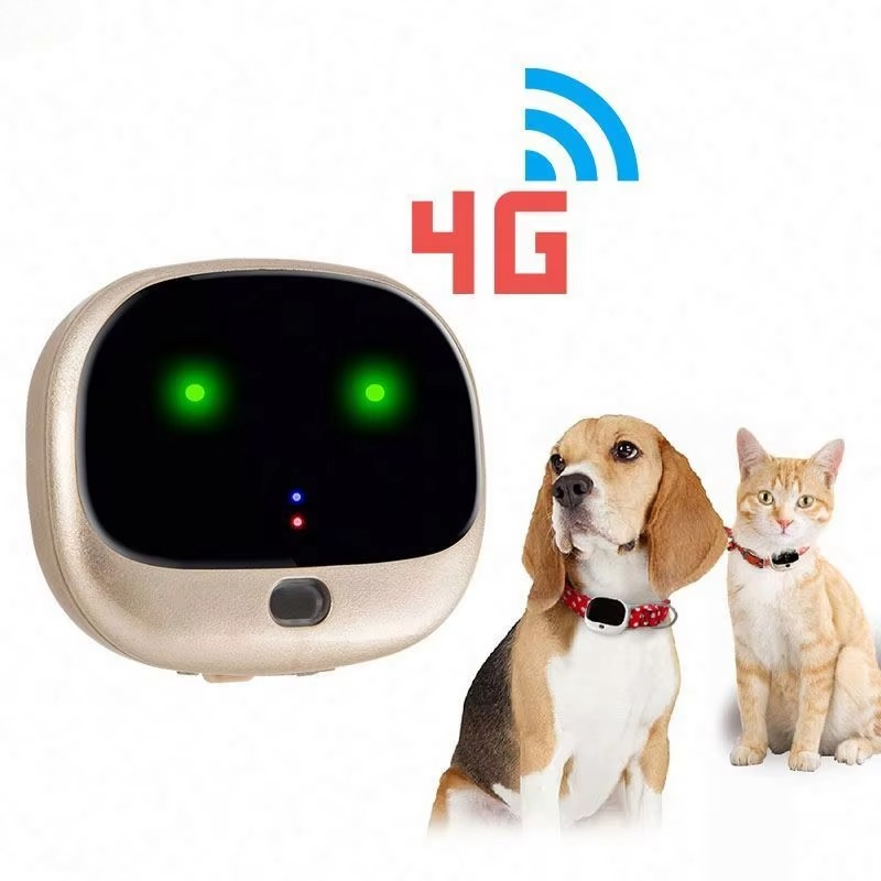 Dog Gps Tracker Collar 4G Waterproof - Localizador GPS STLF3G con Chip SIM