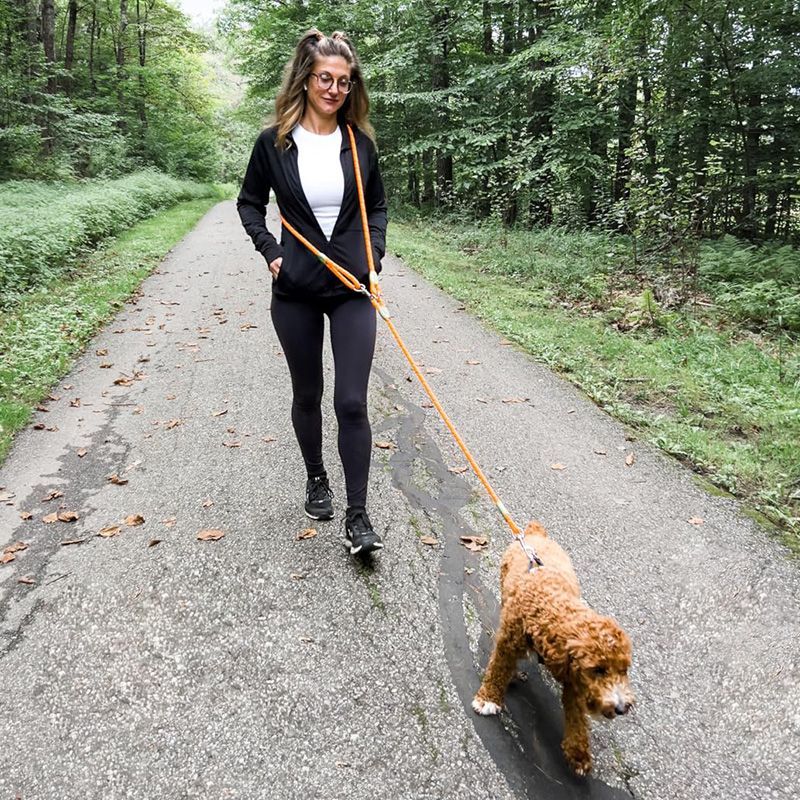 Hands Free Dog Running Leash Waist Belt - Correa reflectante para perros, que permite