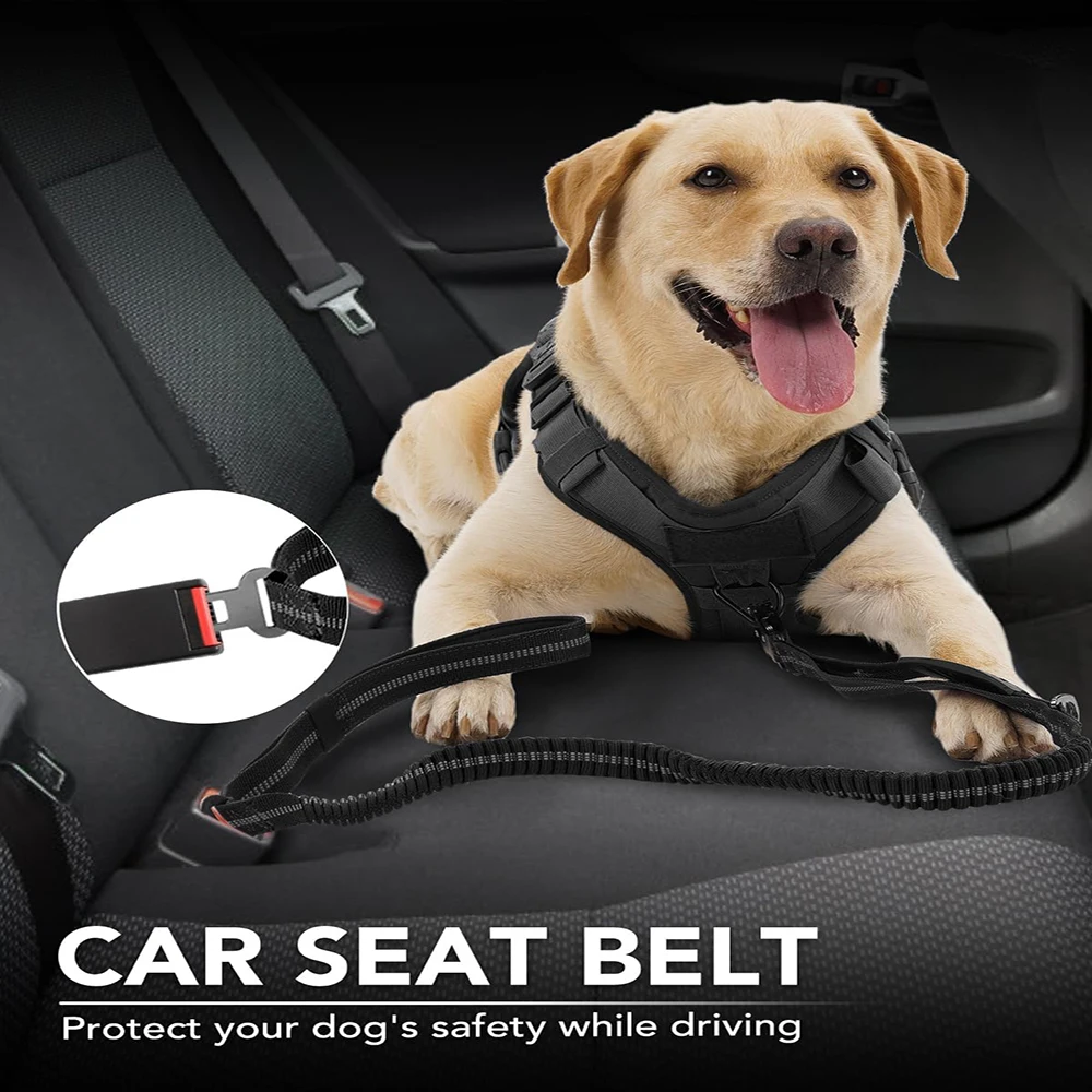 Correa para perro sin tirones, - Bungee Dog Leash Shock Absorbing reseña y precio
