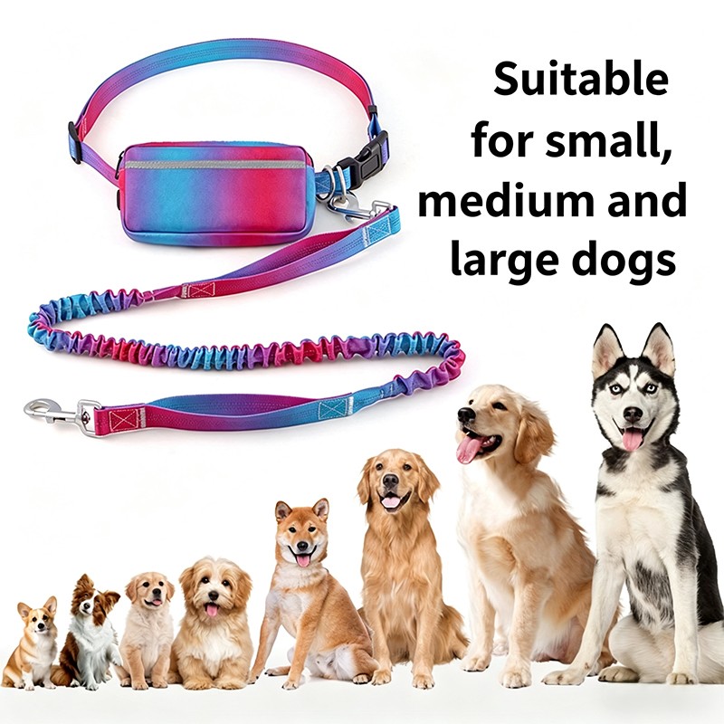 Correa elástica para perros, m - Hands Free Dog Running Leash Waist Belt reseña y precio