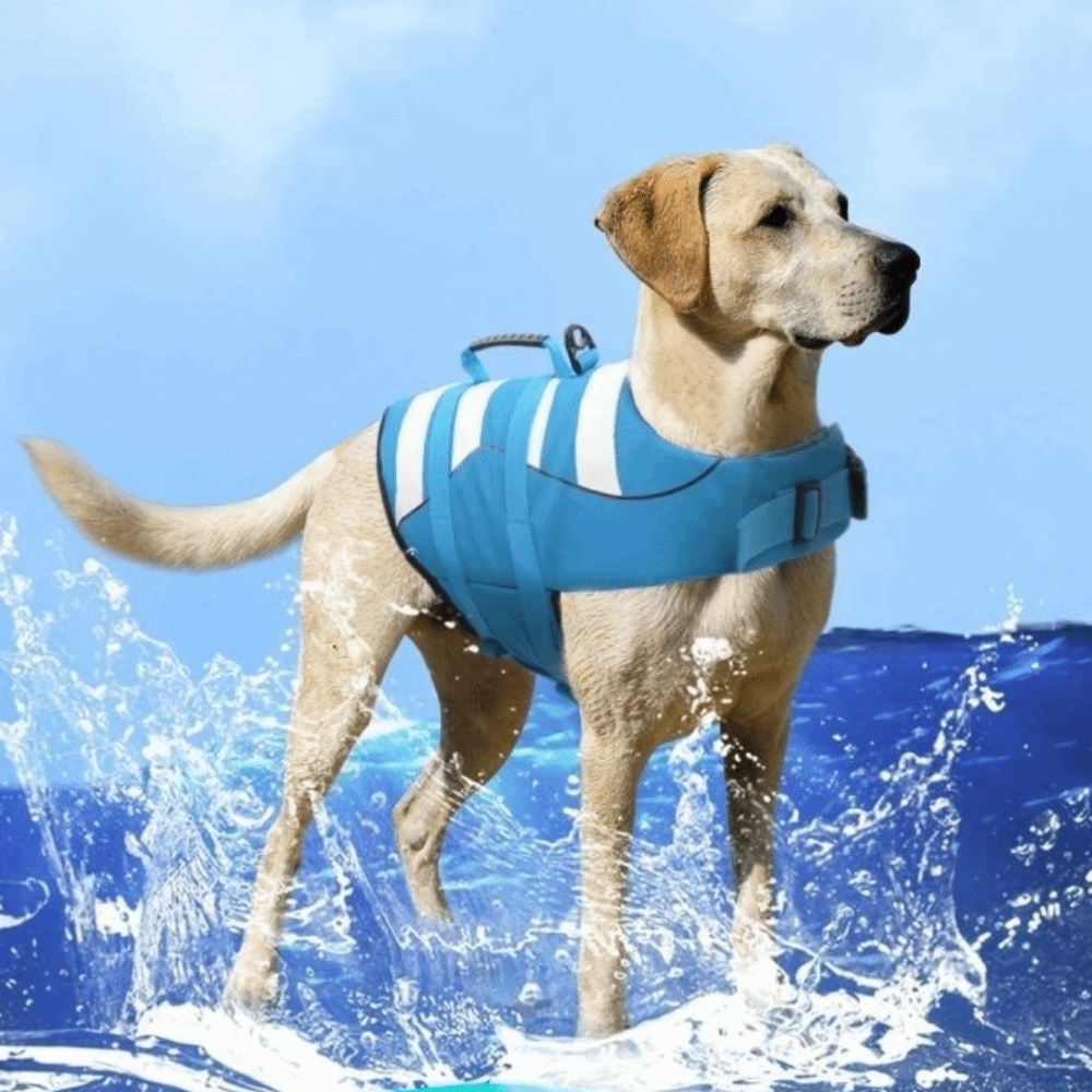 Chaleco Salvavidas Reflectante - Dog Life Jacket Vest Buoyancy Handle reseña y precio