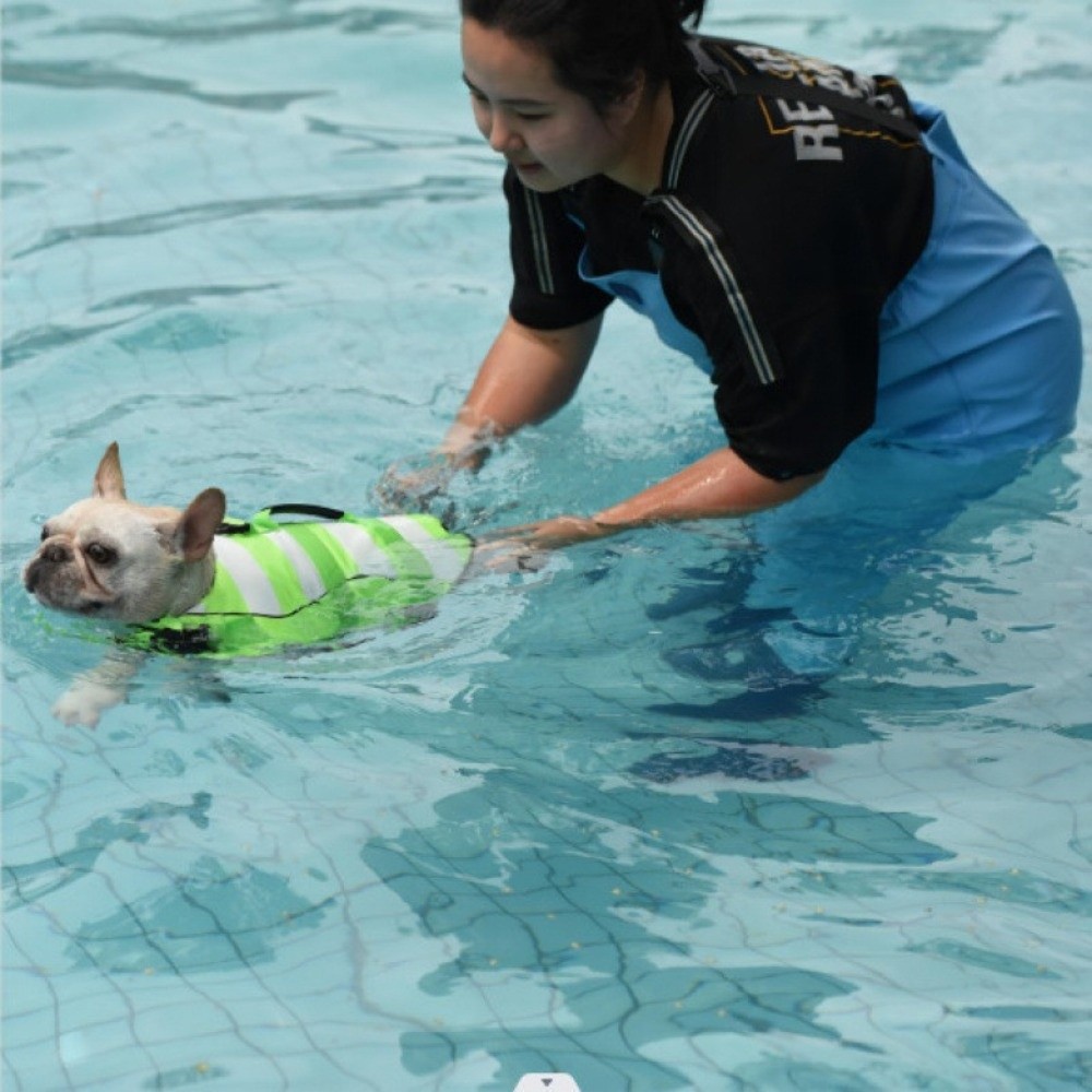 Chaleco Salvavidas Reflectante - Dog Life Jacket Vest Buoyancy Handle reseña y precio
