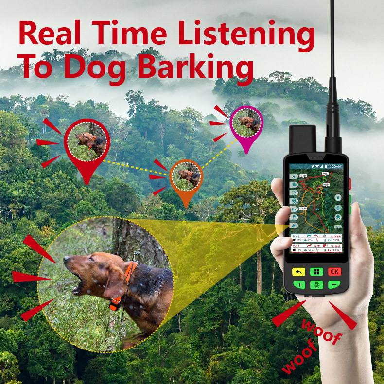 Collar GPS 4G para Perros con  - Hunting Dog Tracking Collar Gps Radio reseña y precio