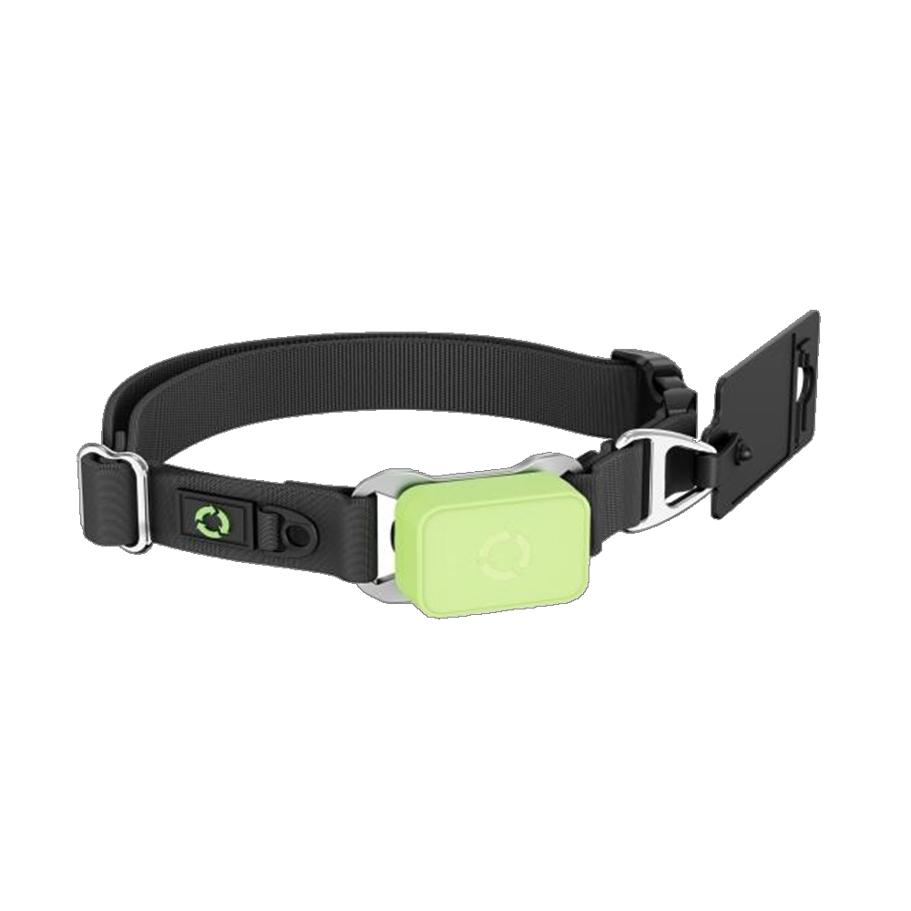 Rastreador de salud para masco - Pet Activity Health Monitor Tracker reseña y precio