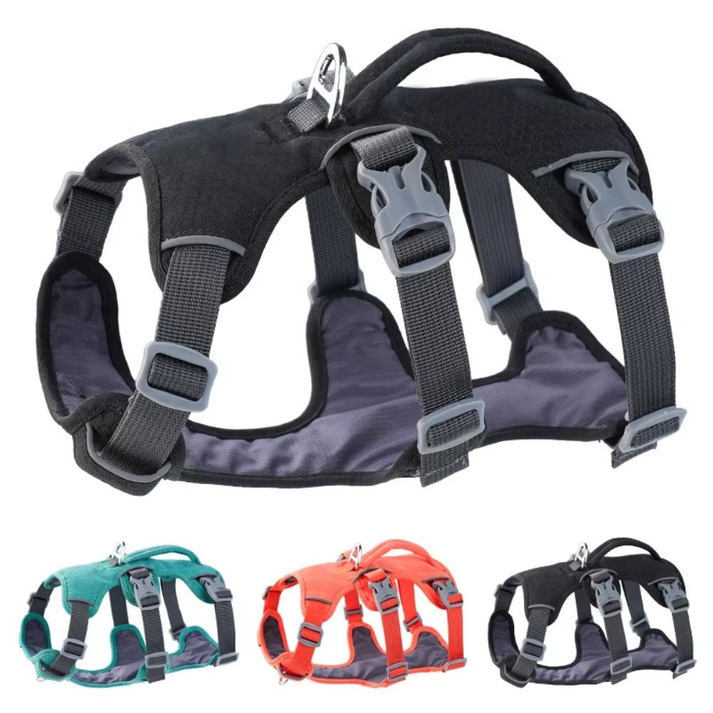 Arnés Reflectante para Perro c - Bungee Dog Leash Shock Absorbing reseña y precio