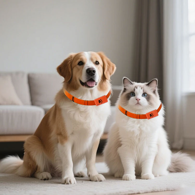 Monitor de Actividad para Masc - Pet Activity Health Monitor Tracker reseña y precio