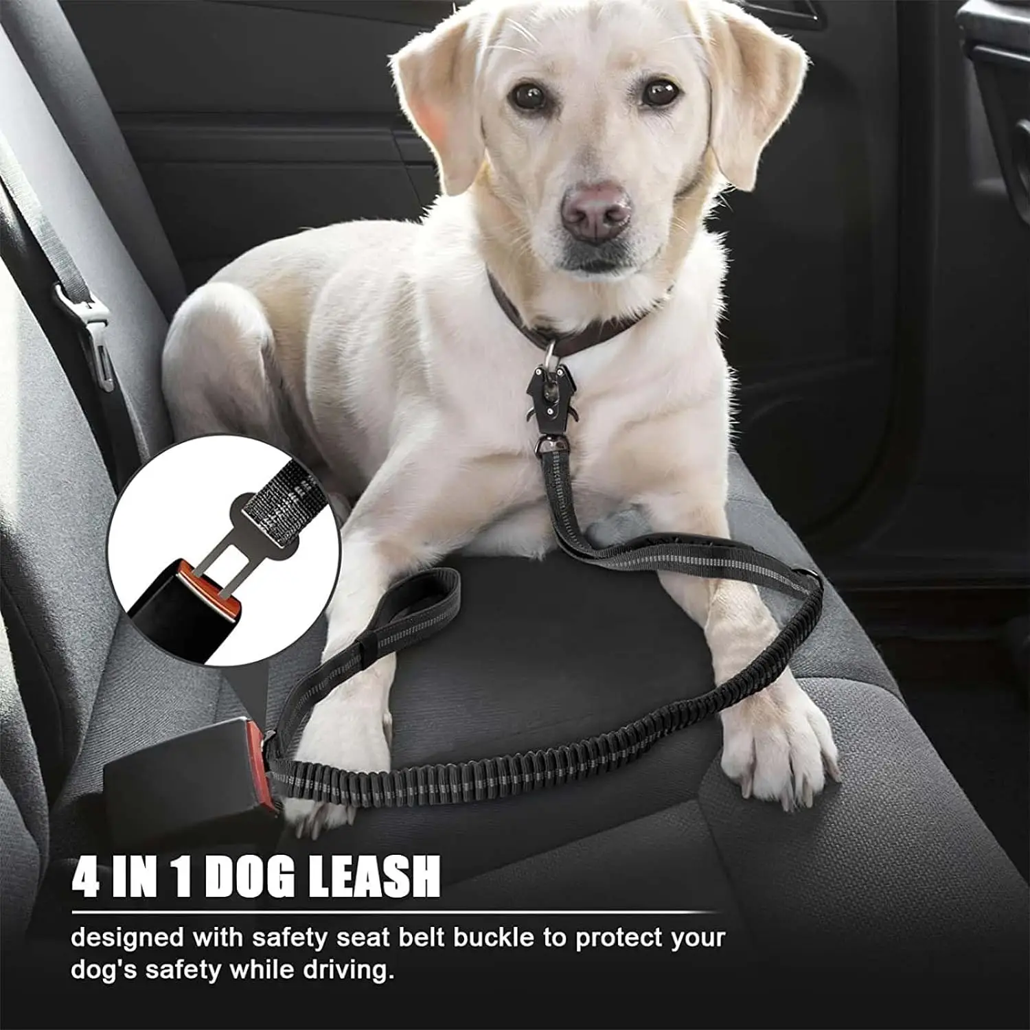 Correas reflectantes y absorbe - Bungee Dog Leash Shock Absorbing reseña y precio