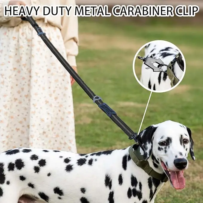 Correas reflectantes y absorbe - Bungee Dog Leash Shock Absorbing reseña y precio