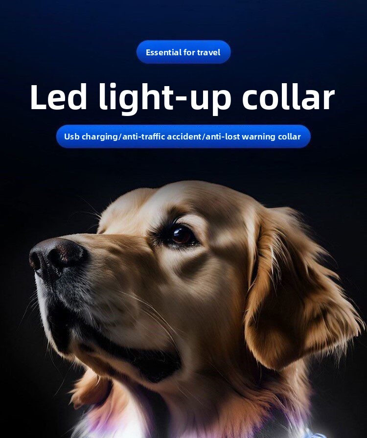 Collar Luminoso para Perro con - Led Dog Collar Glowing Rechargeable Usb reseña y precio