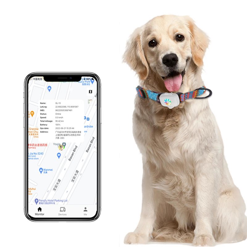 【MUST-HAVE】 Localizador GPS de - Dog Gps Tracker Collar 4G Waterproof reseña y precio