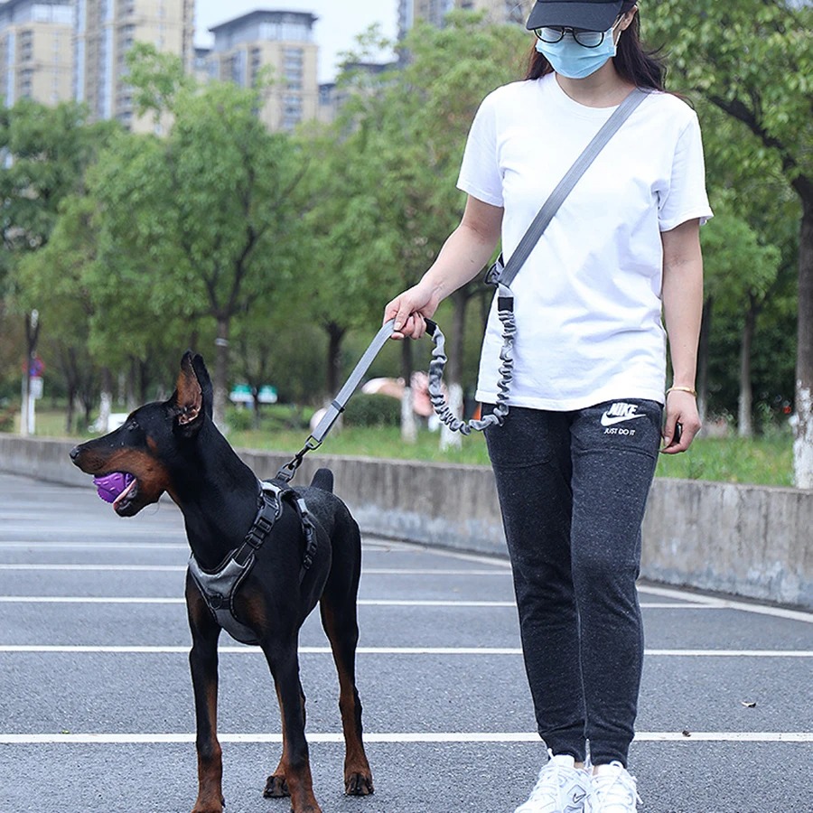 Correa de Perro Manos Libres p - Hands Free Dog Running Leash Waist Belt reseña y precio