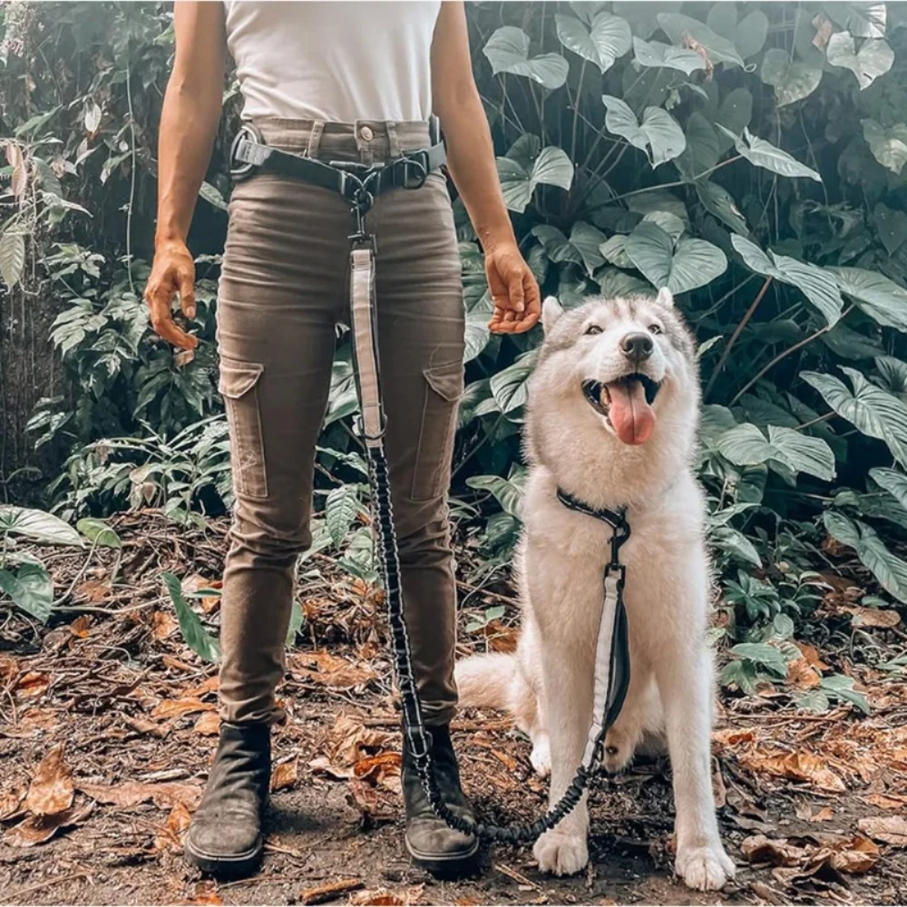 Conjunto de Correa y Riñonera  - Hands Free Dog Running Leash Waist Belt reseña y precio
