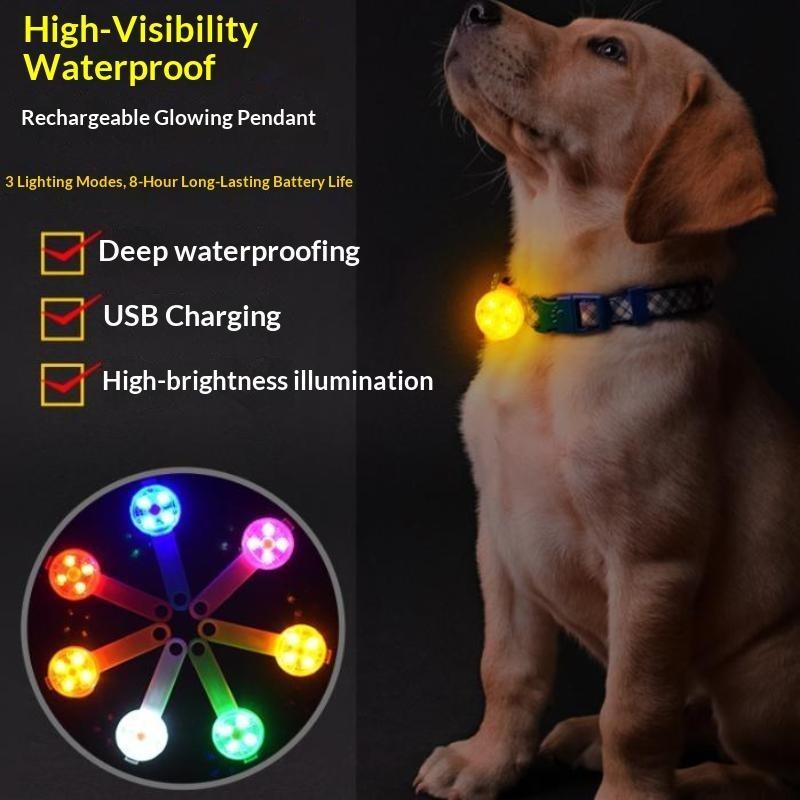 Collar LED para mascotas con l - Led Dog Collar Glowing Rechargeable Usb reseña y precio