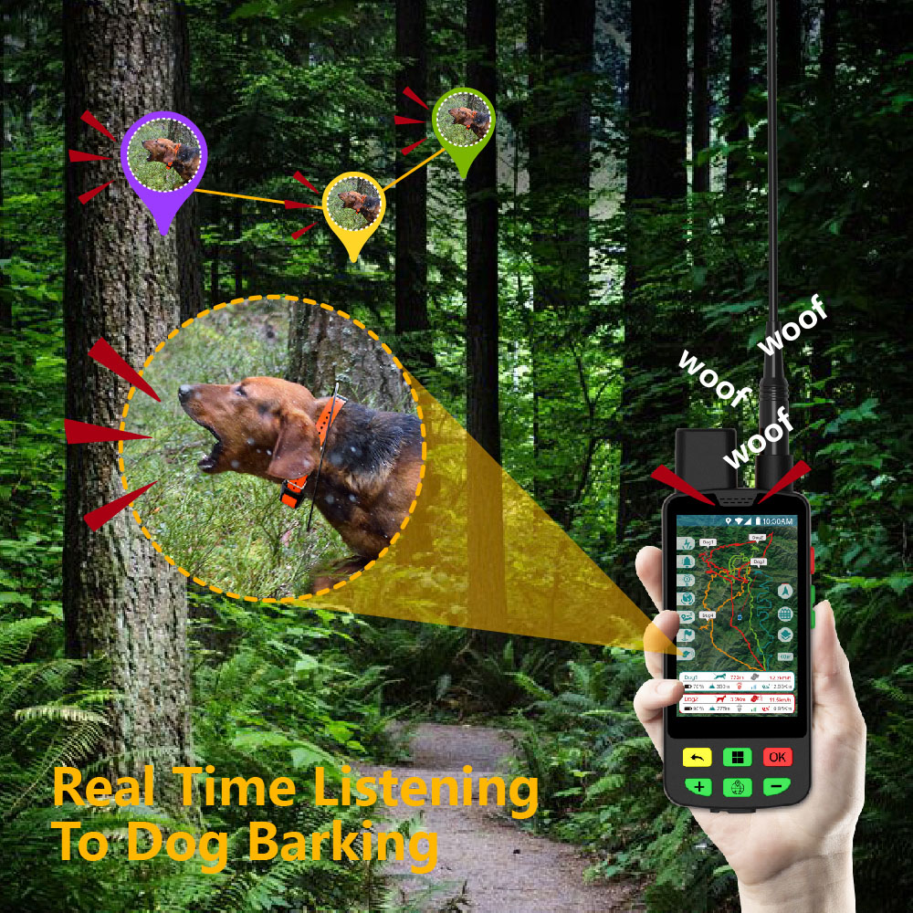 Collar Rastreador GPS para Per - Dog Gps Tracker Collar 4G Waterproof reseña y precio