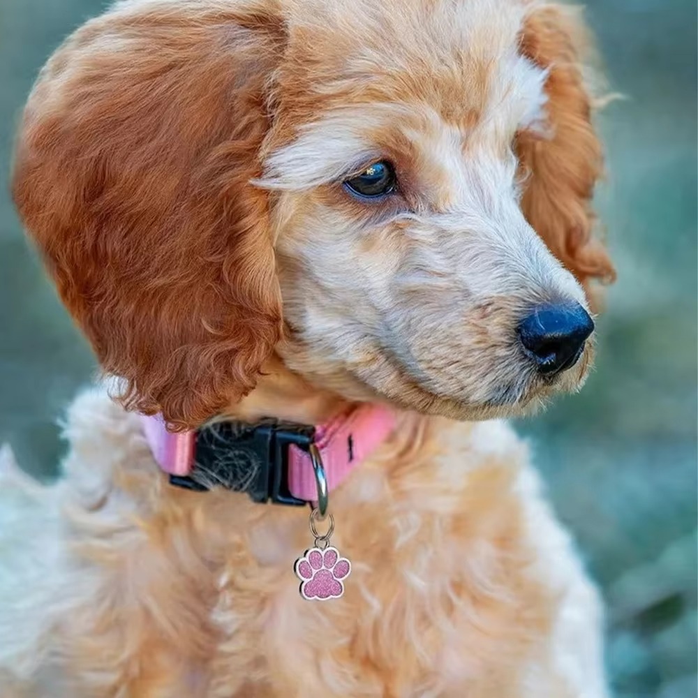 Placa de identificación person - Reflective Dog Collar Personalized Engraved reseña y precio