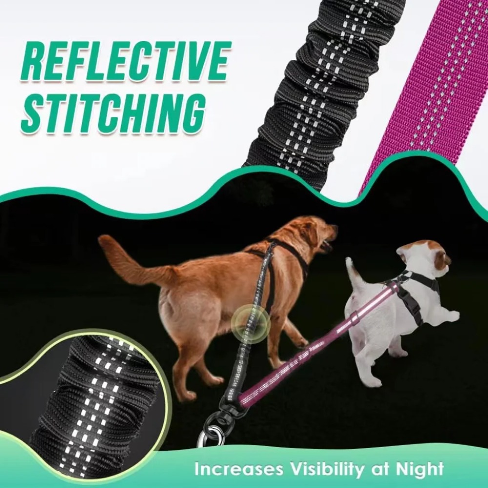 Correa doble para perro de 16  - Bungee Dog Leash Shock Absorbing reseña y precio