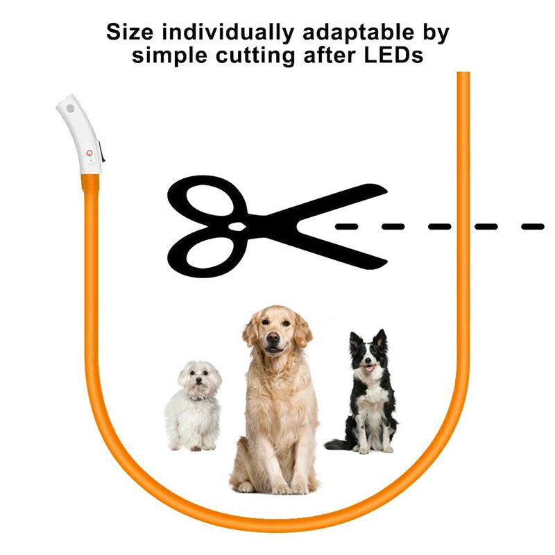 Collar LED Multicolor para mas - Led Dog Collar Glowing Rechargeable Usb reseña y precio