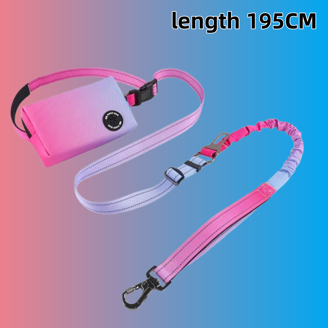 Correa para Perro Manos Libres - Bungee Dog Leash Shock Absorbing reseña y precio