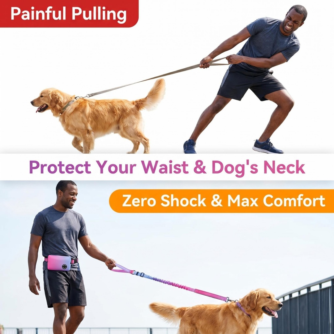 Correa para Perro Manos Libres - Bungee Dog Leash Shock Absorbing reseña y precio