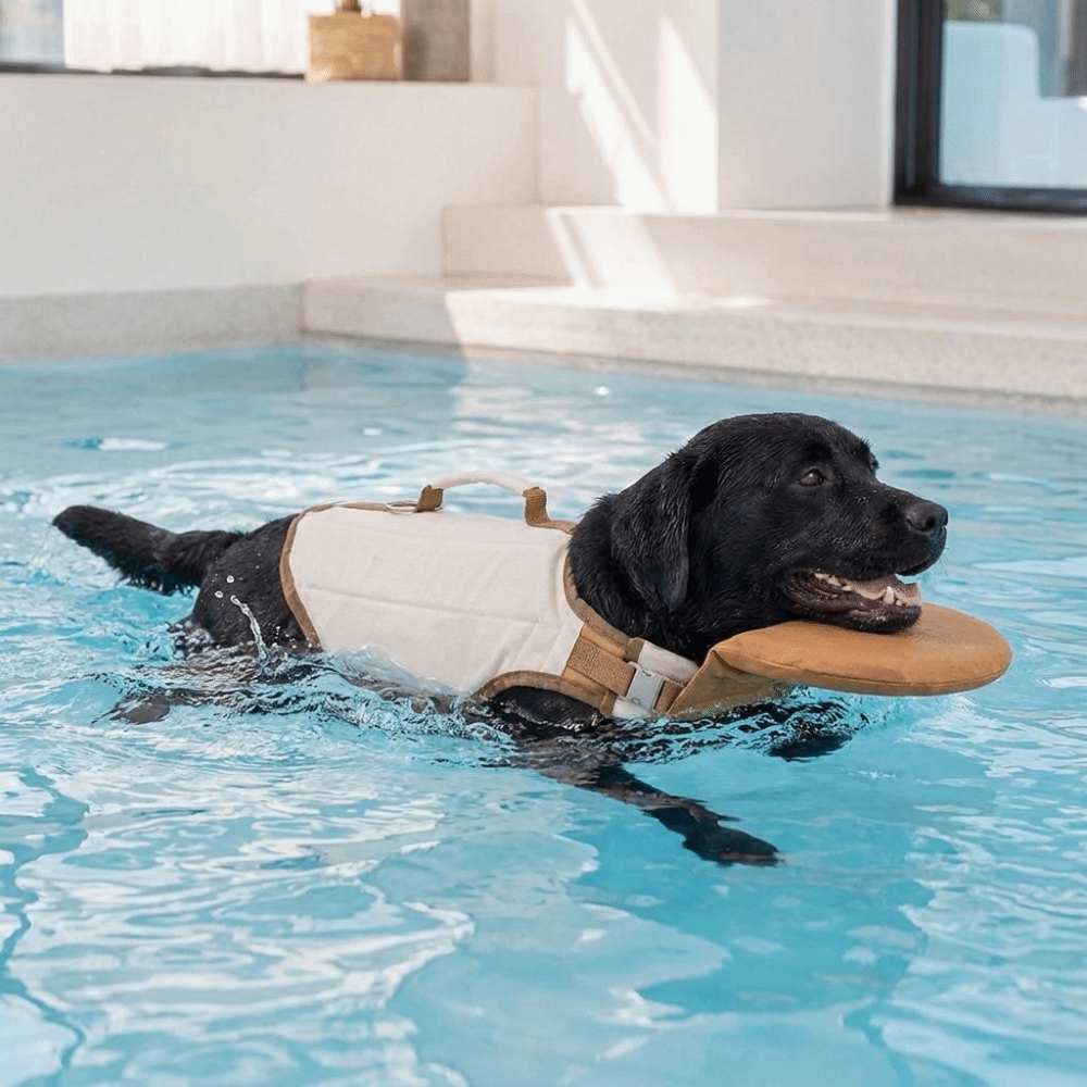 Chaleco Salvavidas Ajustable p - Dog Life Jacket Vest Buoyancy Handle reseña y precio