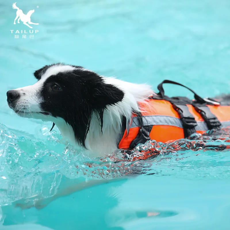 Chaleco salvavidas para perros - Dog Life Jacket Vest Buoyancy Handle reseña y precio