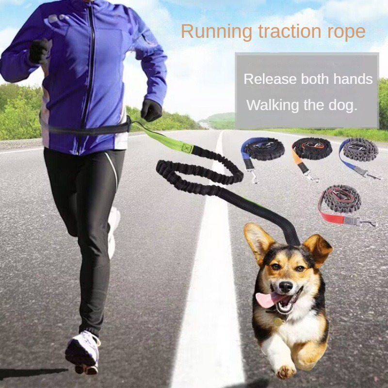 Correa de mano libre para perr - Hands Free Dog Running Leash Waist Belt reseña y precio