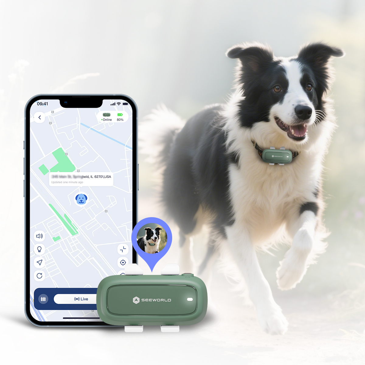 Collar GPS para Perros - Rastr - Dog Gps Tracker Collar 4G Waterproof reseña y precio
